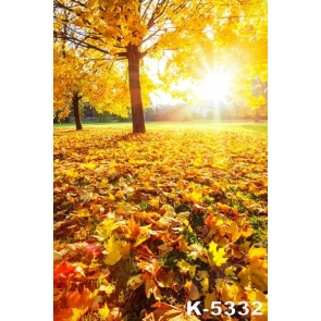 Golden Autumn Fall Yellow Fallen Leaves Scenic Photography Photo Backdrops
