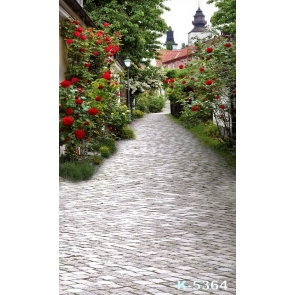 Beautiful Flagstones Path Flowers Backdrop Scenic Photography Background