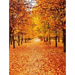 Autumn Yellow Leaves Trees Street Scenic Photo Backdrop