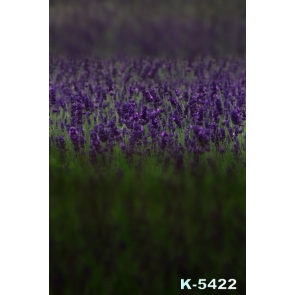 Spring Purple Lavender Flowers Vinyl Photo Background 