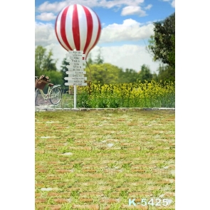 Countryside Cole Flowers Hot Air Balloon Scenic Vinyl Photography Backdrops