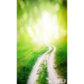 Spring Road Green Grassland Rustic Photo Prop Background