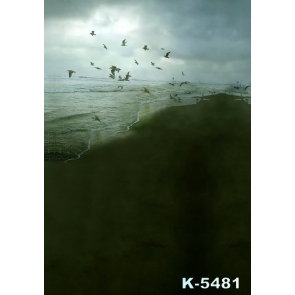 Scenic Night Seaside Seagulls Beach Photo Drop Background