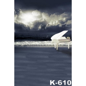 Overcast Sky White Piano by Seaside Beach Backdrop Background