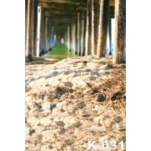 Sandy Beach under Bridge Scenic Photography Backdrop Background