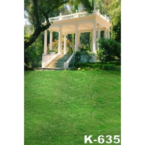 Pavilion of Modern Architectural Style Green Grassland Scenic Picture Backdrop