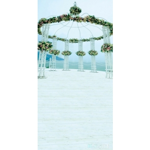 Romantic Seaside Wedding Venue Wedding Photos Backdrops for Photography