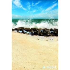 Scenic Sea Waves Beating Rocks Beach Backdrops for Photography