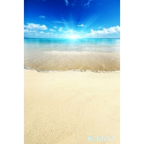 Scenic Summer Holiday Blue Sea Yellow Beach Photo Drop Background