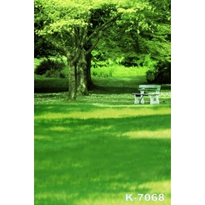 Green Big Trees Bench Green Grassland Scenic Photography Photo Backdrops
