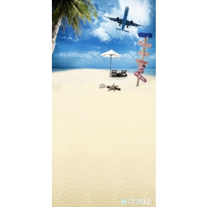 Airplane Flying over Beach Photography Backgrounds and Props