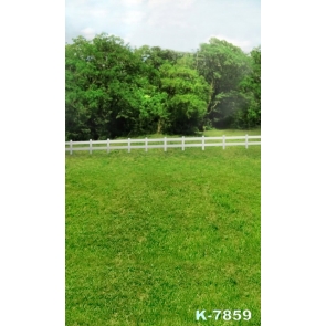 Green Grass Land Grove Fence Scenic Photography Backgrounds and Props