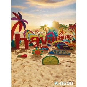 Summer Holiday Seaside Beach Professional Photography Backdrops