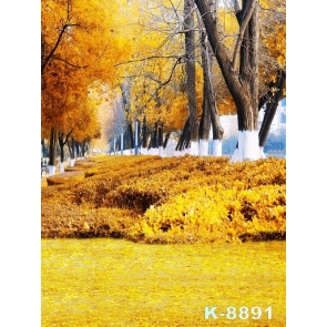 Autumn Fall Yellow Leaf Trees Scenic Photo Wall Backdrop