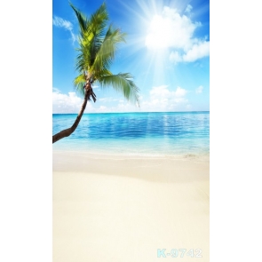 Sunny Day Blue Sky Coconut Tree Scenic Beach Studio Backdrops