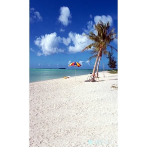 Summer Holiday Blue Sea Seaside Beach Photography Backgrounds and Props