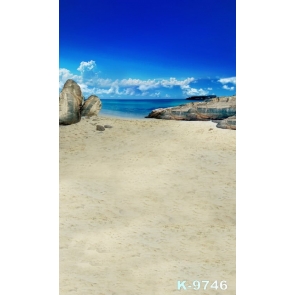 Seaside Beach Rocks Scenic Professional Photography Backdrops