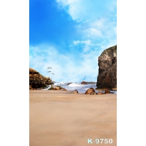 Seagulls over Seaside Rocks Beach Photo Backdrops