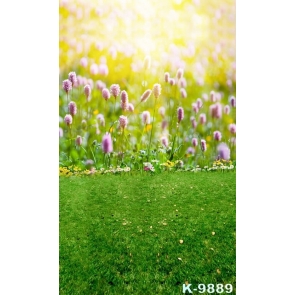 Spring Green Grasslans Flowers in Field Scenic Photo Backdrop