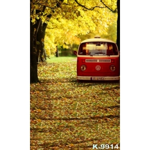 Autumn Fallen Leaves Trees Car in Mid Street Scenic Photo Backdrop