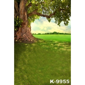 Spring Green Big Tree Grass Land Rustic Scenic Affordable Photo Backdrops