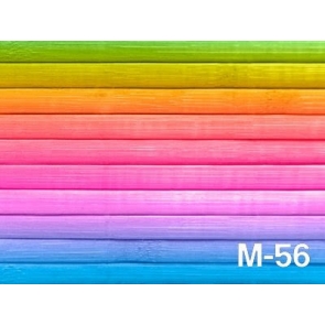 Rainbow Color Vinyl Wood Floor Backdrops Newborn Baby Photography Background