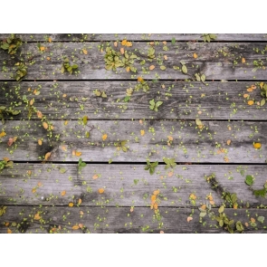 Rustic Wood Leaves Backdrop Wall Wedding Flowers Photography Background