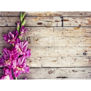 Purple Flowers Rustic Wood Backdrop Photography Background