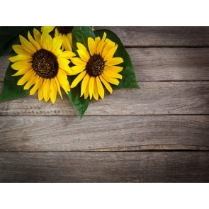  Wood Backdrop With Sunflower Flowers Photography Background