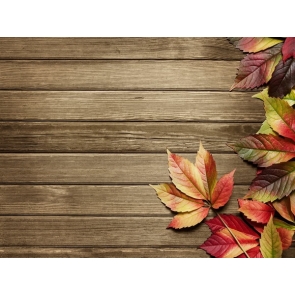  Vintage Photography Background Faux Wood Backdrop With Maple Leaf