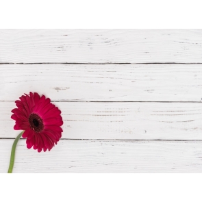 White Horizontal Texture Wood Camera Backdrops with Rose Red Flower