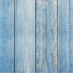 Stylish Vertical Strip Vinyl Light Blue Vinyl Wooden Background Photography Backdrops