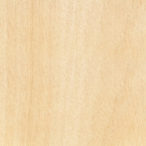 Beige Vinyl Vintage Wood Textured Backdrop Studio Photography Background Prop