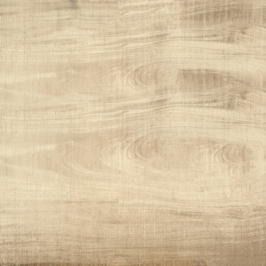 Irregular Horizontal Texture Burlywood Wood Floor Photo Drop Background