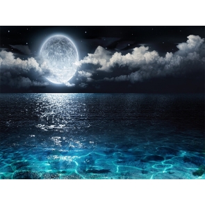 Night View On Sea Full Moon Backdrop Party Stage Studio Photography Background