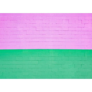 Personalized Pink And Green Brick Wall Background Studio Photography Backdrop