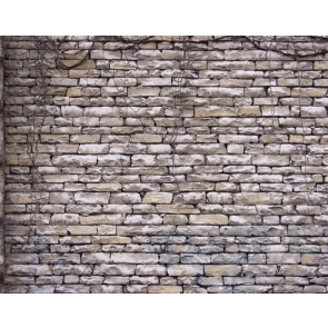 Rock Stone Retro Brick Wall Backdrop Studio Photography Background