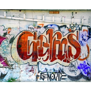 Retro Old Bricks Wall Graffiti Backdrop Video Photography Background