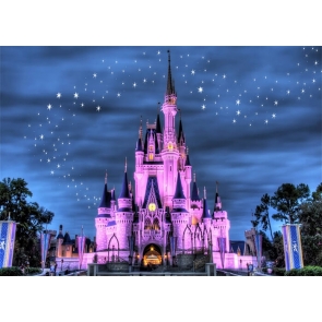 Star Night Scene Pink Castle Background Party Photography Backdrop