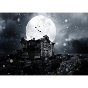 Under The Moon Houses Grey Halloween Party Backdrop Decoration Prop Studio Photography Background