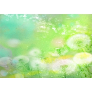 White Dandelion Green Background Drops for Photography