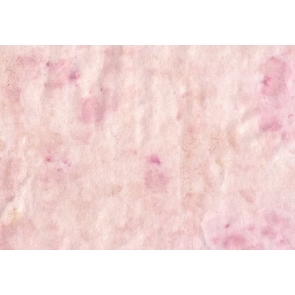 Light Pink Textured Studio Portrait Photography Background Prop