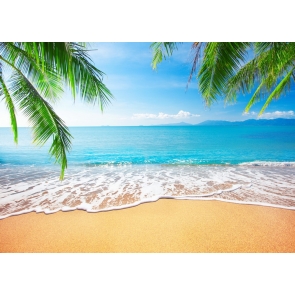 Blue Sky White Clouds Palm Trees Coconut Tree Beach Hawaiian Backdrop Photography Background