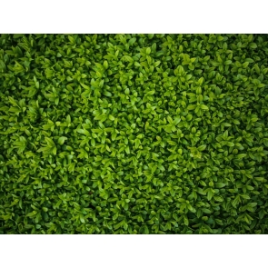 Baby Shower Grass Wall Backdrop Children Birthday Party Photography Background