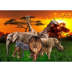 African Safari Backdrops Lion Unique Photo Vinyl Background