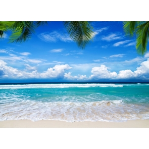 Blue Sky White Clouds Sea Beach Hawaiian Backdrop Photography Background
