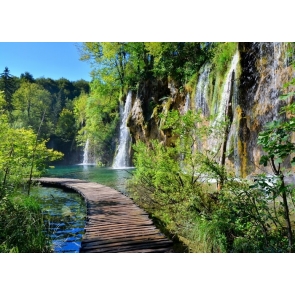 Forest Waterfall Beautiful Scenic Backdrop Photo Studio Photography Background