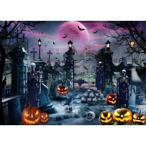  Night Ghost Spooky Skull Scary Cemetary Gate Halloween Backdrop 