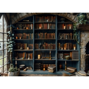 Vintage Bookstore Shelved Literature Photography Bookshelves Backdrop