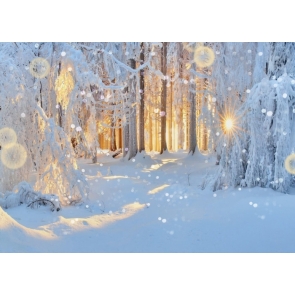 The Sun Is Covered By Snow Covered Forest White Christmas Backdrop